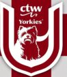 Ctwyorkies